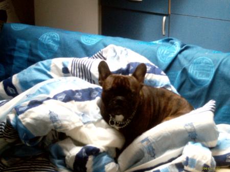 vox dans ma couette