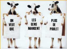 c'est une vache révolution
